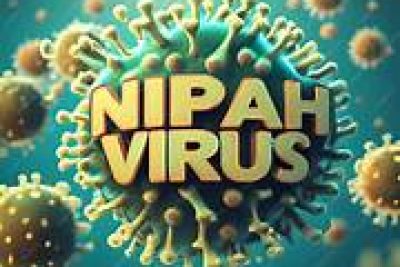 PHÒNG BỆNH VIRUS NIPAH